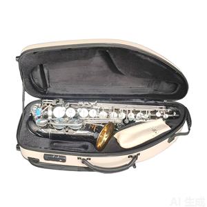 Étui de saxophone alto en TPU imperméable de haute qualité, antichoc, léger et portable - Product Image 6