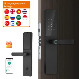 Groothandelsprijs Wifi Ttlock App 6V Droge Batterij Slimme Deurslot Ic Kaart Smartphone App Unlock Biometrische Vingerafdruk Smart Lock