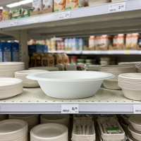 Boîtes à lunch écologiques 12 oz pour fêtes et plats à emporter, assiettes en papier écologiques, bols ronds jetables en bagasse 12 oz pour le déjeuner
