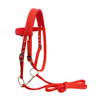 Sangle en nylon cheval bride cheval licou haut confort haute qualité
