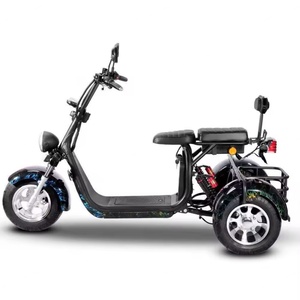 HEZZO รถสามล้อไฟฟ้าขนาด 12 นิ้ว 60V 1000W ยางใหญ่ 3 ล้อ สกู๊ตเตอร์บรรทุกไฟฟ้า 30ah ระยะไกล รถซิตี้โคโค่ไฟฟ้า ฮัลเลย์ไฟฟ้า - Product Image 6