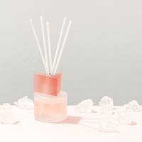 Diffuseur de roseaux en verre de luxe de marque privée personnalisé diffuseur de parfum d'ambiance emballage de diffuseur de roseaux diffuseurs d'arômes de parfum d'intérieur