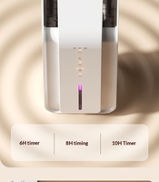 OEM ODM Dehumidifier Besar Mini dengan Pemurni Udara OEM Kustom Dehumidifier Portabel Rumah Tangga untuk Rumah, Ruang Bawah Tanah, Lemari Pakaian