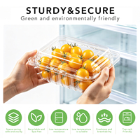 Conteneur transparent en PET pour tomates cerises avec couvercle bombé, couvercle séparé, boîte à légumes côtelée jetable, qualité alimentaire, vente en gros, OEM personnalisé