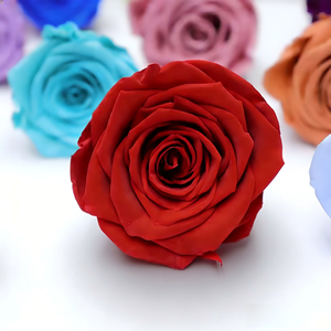 Rosas <span class=keywords><strong>Preservadas</strong></span> a Precio de Fábrica, 5-6 cm, Grado A, Flor Natural Real, Cabeza de Rosa Eterna para Decoración de Bodas, Día de la Madre - Product Image 6