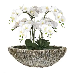 卸売高品質ヨーロピアンスタイルシェル花瓶オランダ人気モデル植木鉢シンビジウムプランター