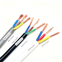 Câble plat flexible RVV 450/750V à âme en cuivre, isolé PVC, gaine plate, norme UE, 12 AWG, câble de signalisation et de commande TONGBAO