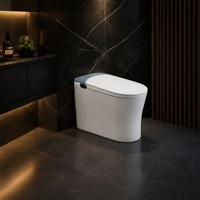 WC intelligent économique à poser au sol, allongé, avec fonction bidet, réservoir encastré, siphon en S inclus, ensemble WC en céramique pour projets de rénovation