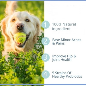 Integratore per la Mobilità Canina con Collagene e MSM, Spedizione Rapida - Product Image 2