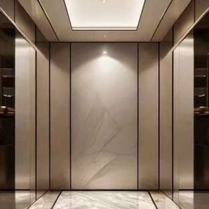 Miroir gravé pour ascenseur de passagers à commande AC, idéal pour centres commerciaux, bureaux, maisons, villas, hôtels - Prix compétitif pour ascenseurs et monte-escaliers - Product Image 1