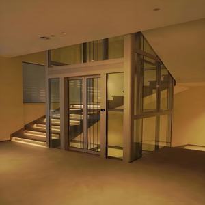 Ascenseur domestique AC à <span class=keywords><strong>prix</strong></span> réduit, production rapide, en acier peint, verre feuilleté, VVVF, pour petits bâtiments et hôtels - Product Image 3