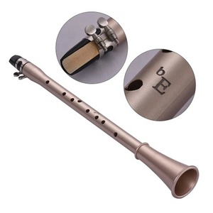 Produttore vendite dirette multi-specifica tasca in plastica clarinetto principiante semplice Mini sassofono - Product Image 3