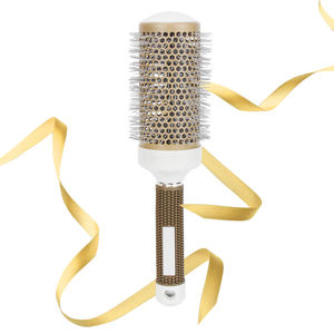 Profesyonel iyonik saç kurutma fırçası seramik termal saç tarak için alüminyum tüp ile ev Styling için özelleştirilebilir Logo - Product Image 1