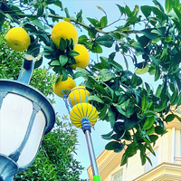 Duurzame industriële metalen fruitplukker met telescopische stalen/houten steel, verstelbare moderne fruitplukmand