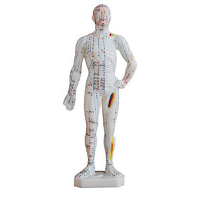 Modelo de Acupuntura do Corpo Humano em PVC Macio de 46cm da Ciência Médica de Xangai, China, para Treinamento de Enfermeiros - Product Image 2
