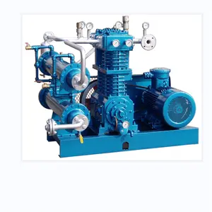High Quality Reciprocating Natural Gas Compressor CNG Station Booster Piston Compressor For Sale