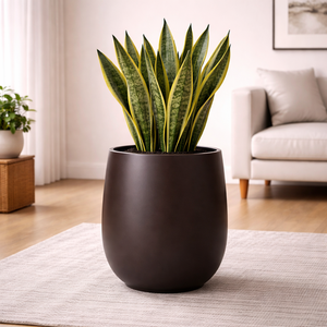 Set Planters Pots Eco-Friendly Fiberglass Large Pots For Plants Tall Indoor <b>Best</b> Selling Planter Flower Pots Planters Garden - Product Image 6