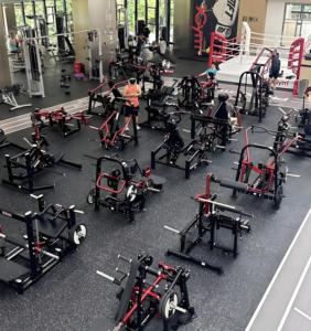 Machine de musculation commerciale <span class=keywords><strong>pour</strong></span> <span class=keywords><strong>biceps</strong></span> et brachies, équipement de musculation <span class=keywords><strong>pour</strong></span> <span class=keywords><strong>biceps</strong></span>, dorsaux et rhomboïdes - Product Image 6