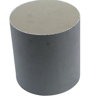 Cordierite ceramica a nido d'ape DPF filtro antiparticolato Diesel 144*152mm di filtrazione di scarico del motore Diesel