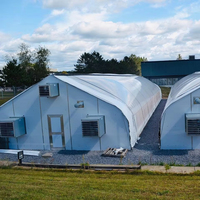 Serre tunnel monopente en film plastique, structure agricole hydroponique en polyéthylène avec cadre en acier galvanisé, faible coût