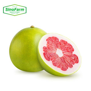Pamplemousse <span class=keywords><strong>chinois</strong></span> prêt à exporter prix d'usine frais peau jaune Pomelo Fruits - Product Image 6