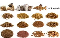 Séchoir à aliments pour animaux de compagnie à haute efficacité déshydrateur machine à sécher les collations pour chiens