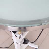 Table de toilettage pliable en acier inoxydable pour animaux de compagnie EUR PET, moderne, pour chiens et chats, avec LED, pour salon de toilettage