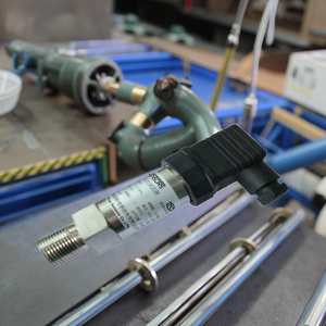 Đầu Dò Áp Suất Tuyệt Đối Chi Phí Thấp 4-20mA OEM Với Giá Thấp - Product Image 1