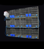Nouvelles cages d'élevage de lapins de haute qualité, marque Muhe, en tuyau galvanisé de type H, 12 unités, anti-corrosion, pour l'élevage commercial à bas prix