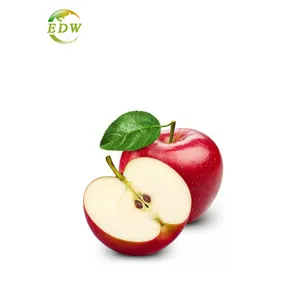 클릭 무료 샘플 100% 순수 과일 분말 사과 사이다 식초 분말