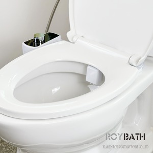 Новый продукт, идеи <span class=keywords><strong>2025</strong></span> сантехнических материалов, унитаз для душевой сиденья, насадка для биде - Product Image 3