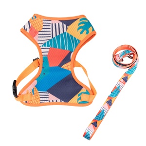 2022 Drucken <span class=keywords><strong>Pet</strong></span> Vest Custom Mesh Futter Hunde geschirr Set mit passender Leine - Product Image 3