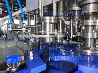 Machine automatique de mise en conserve de bière artisanale sous pression industrielle