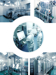 ผงสกัด<span class=keywords><strong>ราก</strong></span>มันเทศป่าธรรมชาติจากโรงงาน ผลิตภัณฑ์เกรดอาหาร สารสกัดสมุนไพร ความบริสุทธิ์สูง ไดออสเจนิน บรรจุขวด - Product Image 3