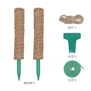 Amazon selling 40 cm plastic moss pole Climbing Plants Coconut Stick Gardening Indoor Plants climb pole