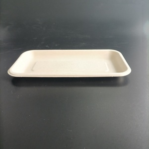 Plateau alimentaire de canne à sucre jetable biodégradable Descartable Platos Desechables écologique pour les occasions de fête - Product Image 6