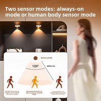Lumière LED pour armoire, longue durée, rechargeable, sans fil, décorative, avec capteur de présence humaine, en acrylique, magnétique