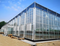 Serre Agricole Préfabriquée à Structure Acier à Prix Bas, Ensemble Complet, Certifiée CE, Durée de Vie 50-70 Ans