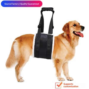 PetFit Imbracatura di Sollevamento per Cani in Tessuto Oxford Colorato per Cani Anziani, Infortunati o Disabili, con Cinghia Pettorale e Cintura Ausiliaria per la Camminata e il Supporto delle Zampe Posteriori - Product Image 2