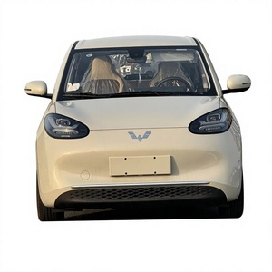รถยนต์ไฟฟ้า Wu li ng Bingo 2024 - Product Image 1