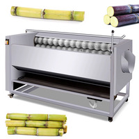 Industriële gember-aardappel-cassave-wortelen-radijs-wasser-schiller-groentewasmachine