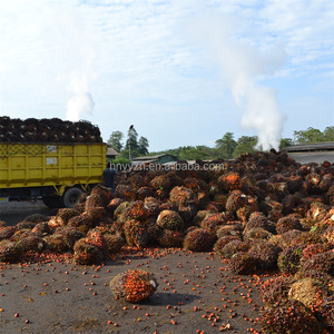 नाइजीरिया पाम तेल प्रसंस्करण मशीन विनिर्माण संयंत्र में स्वचालित वाणिज्यिक पाम तेल निष्कर्षण मशीन की कीमत - Product Image 2