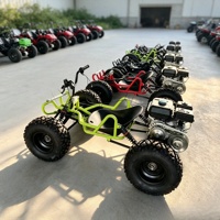 Grand kart tout-terrain antidérapant à pneus robustes et châssis en acier, idéal pour la location en sites touristiques, avec support de logo personnalisé OEM
