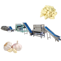 Automatische verse knoflookkruidnagel verwerkingssorteermachine Knoflookbollen breukmachine Knoflookpeelmachine Prijs