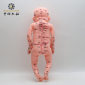 Acupunctuurpuntmodel voor baby's met Engelse en Chinese identificatie en moxibustie-simulatie - Product Image 4