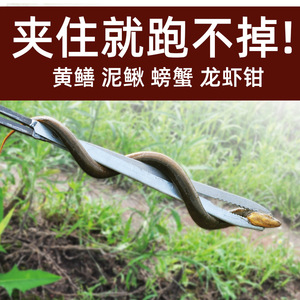 Green Smooth Eel Tongs Steel Long Reach Fishing Forceps For Crab And Loach Catching - Product Image 5