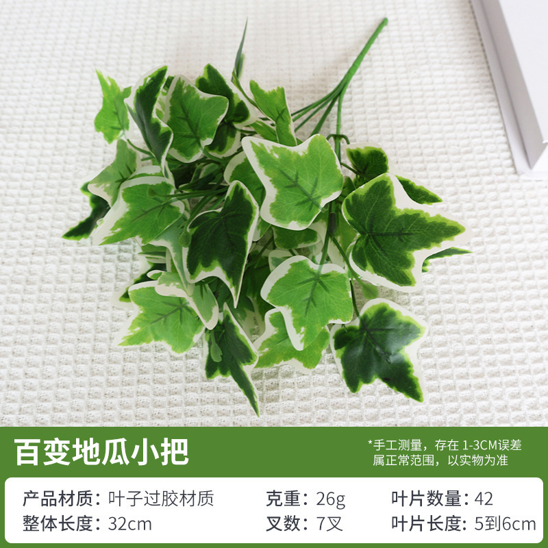 Versatile sweet potato bunch