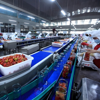 Milieuvriendelijke multifunctionele 304 roestvrijstalen conservenmachine voor de productielijn van gemengde fruitcocktails met motor en pomp