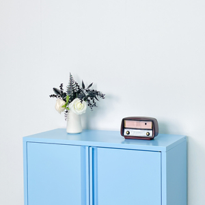 Grande quantité Armoire <span class=keywords><strong>de</strong></span> <span class=keywords><strong>rangement</strong></span> en acier <span class=keywords><strong>de</strong></span> couleur personnalisée Buffet nordique en acier à 2 portes pour le salon - Product Image 5