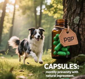 Comprimés <span class=keywords><strong>anti</strong></span>-ver à croquer <span class=keywords><strong>pour</strong></span> chats et chiens Supplément vitaminique sous forme de poudre <span class=keywords><strong>pour</strong></span> animaux de compagnie et soins de santé - Product Image 2